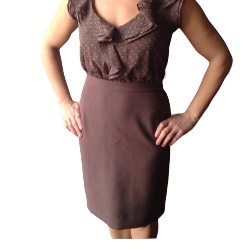 Elegant Ann Taylor Loft brown dress w/sheer top